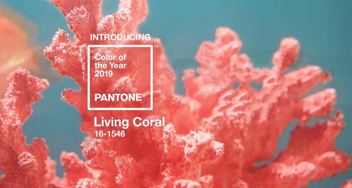 de kleur van 2019: Living Coral