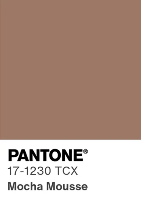 17-1230 Mocha Mousse, pantone, kleur trend, mode trends 2025, interieur trend 2025, de mooiste kleur van 2025, welke kleur heeft mocha, combinaties met bruin, josine wille, fashion influencer